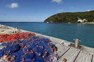 Fishing nets in Martinique