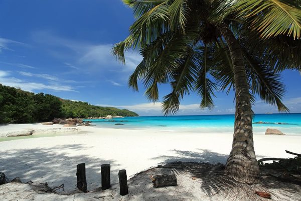 Seychelles Sailing Cruise Beach