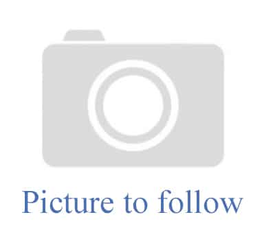 Picture to Follow