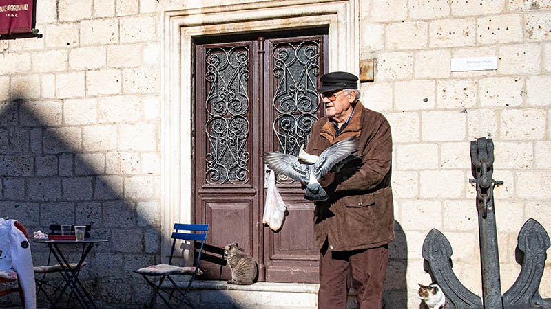 Old man feeding pidgeons in Kotor, Montenegro