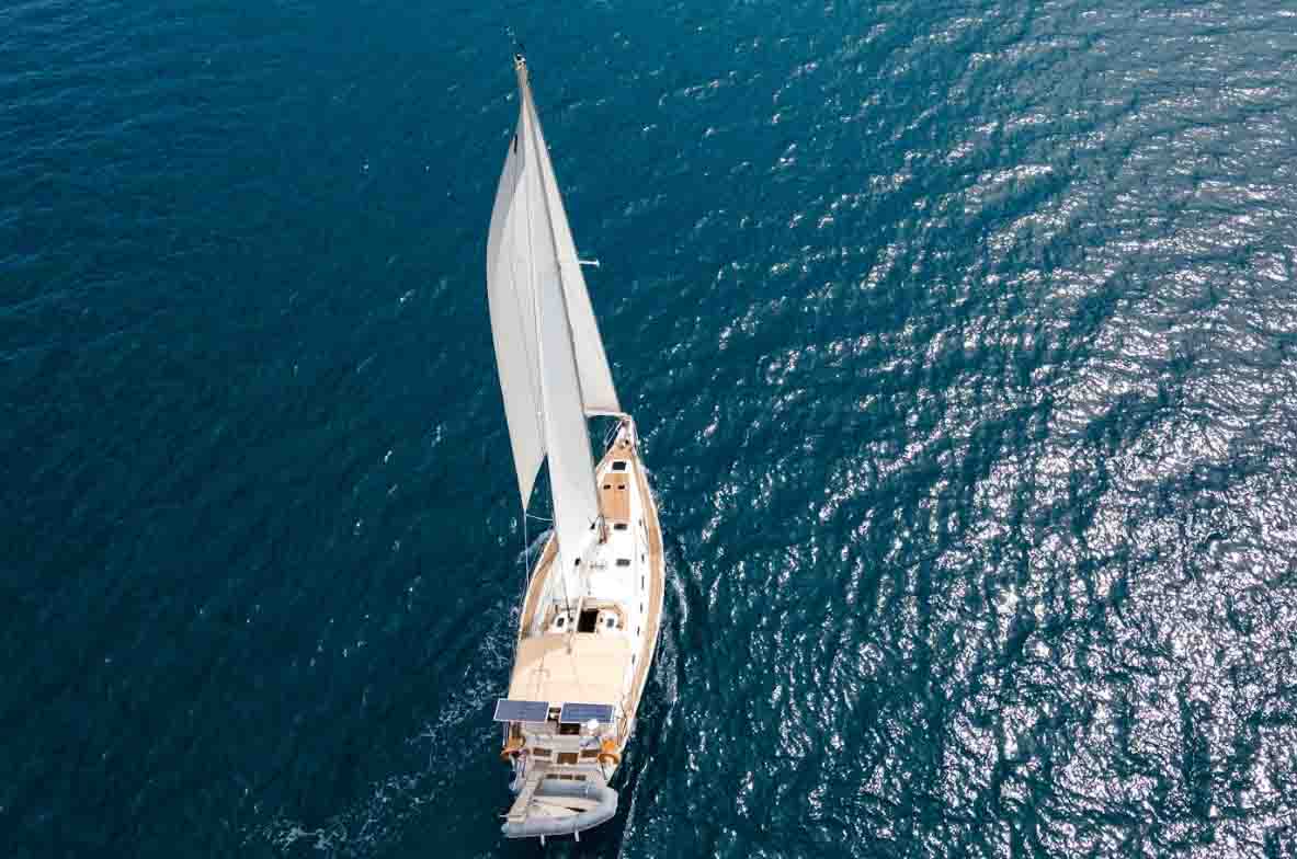 Blue Marlin sailing across open water, seen from above