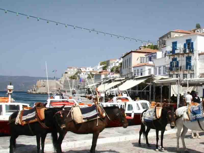 (34 nm) Donkeys are the only traffic on this beautiful island, a favourite hide away of Leonard Cohen, back in the day