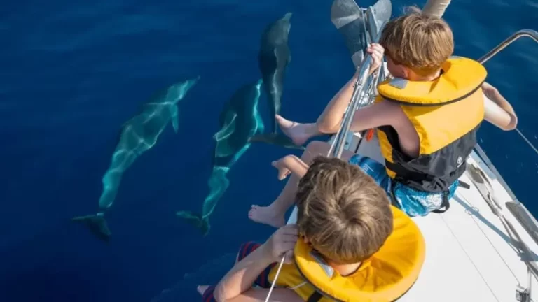 Children in life jackets watching dolphins from the bow of a yacht