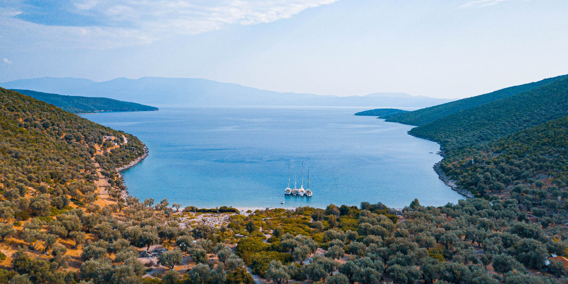 Yacht charter Volos: yachts anchored together in a quiet bay lined with olive trees