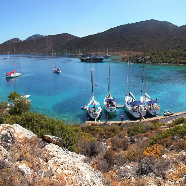 Orhaniye Flotilla