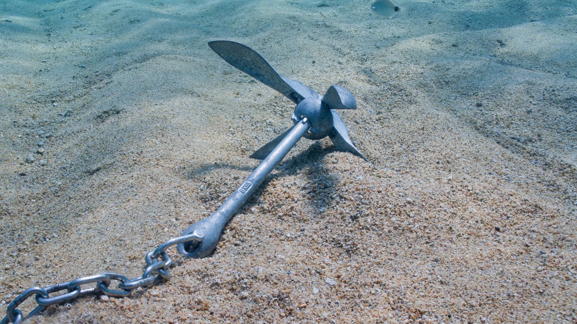 A metal anchor securely resting on the sandy seabed, illustrating proper anchoring techniques for practical yacht charter preparation. 