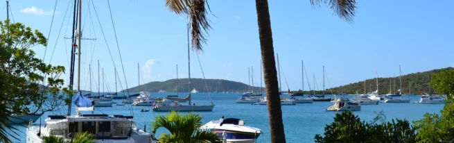 Yachts anchored off a palm-fringed beach in the British Virgin Islands