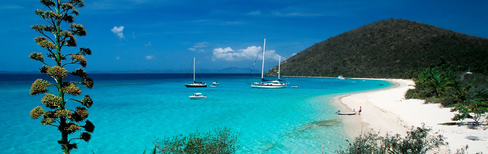 Yachts anchored off a white-sand beach in the British Virgin Islands
